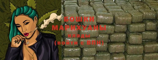 прущие грибы Саяногорск