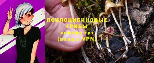 ешки Сатка
