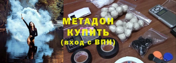 прущие грибы Саяногорск