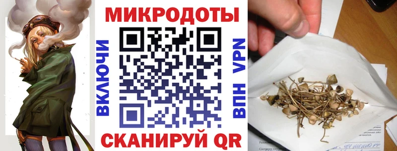 MEGA зеркало  Кувандык  Псилоцибиновые грибы мухоморы  наркота 