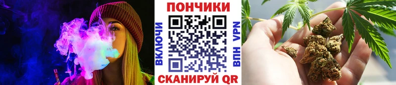 ссылка на мегу маркетплейс  Кувандык  Канабис SATIVA & INDICA 